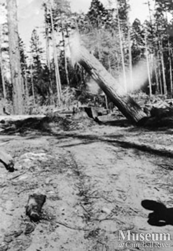 Logging operation on Cortes Island