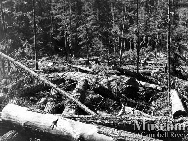 Canadian Forest Products Ltd. Camp at Woss
