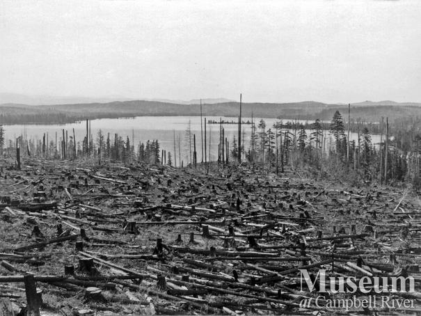 Elk River Timber Co. clear cut near Campbell River