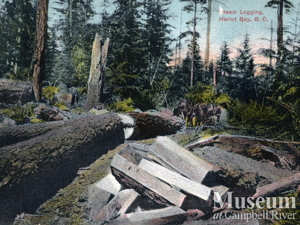 Postcard titled: Steam Logging, Heriot Bay