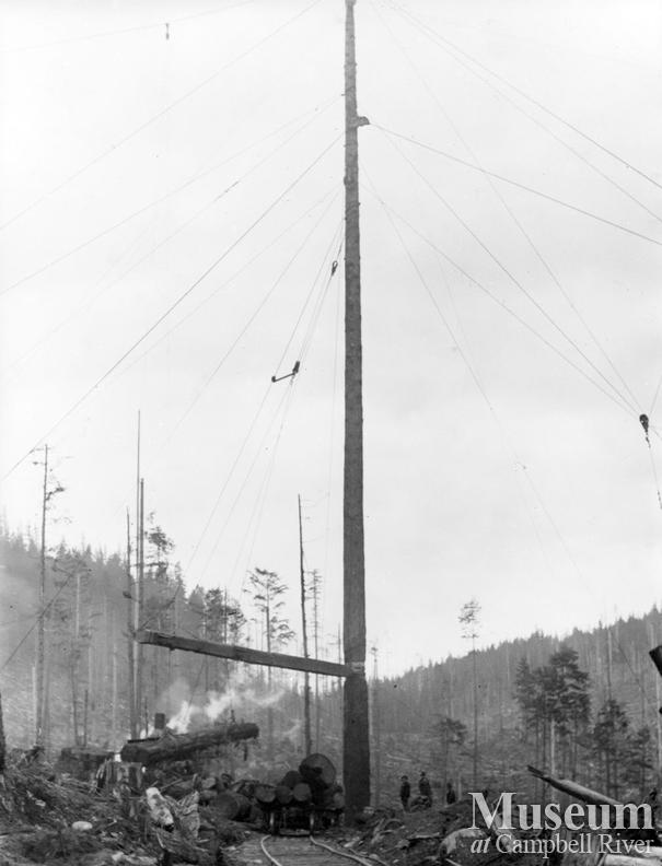 Spar tree loading a railcar at International Timber Co. operations near Campbell River