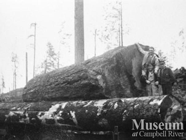 Loggers from Bloedel Stewart & Welch Camp 4