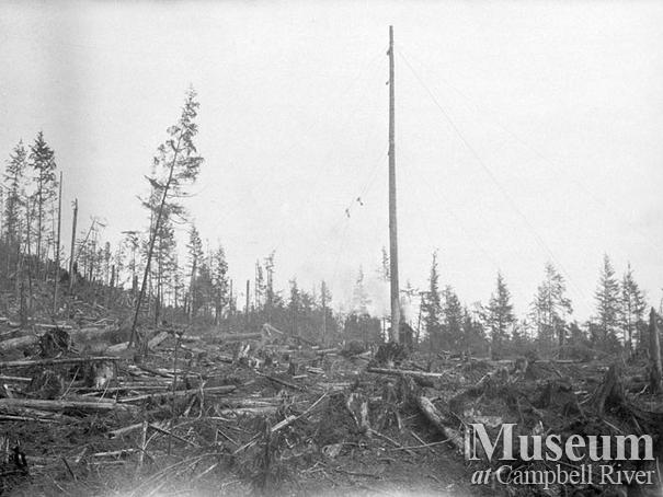 Nimpkish Timber Co. operations at Camp 9