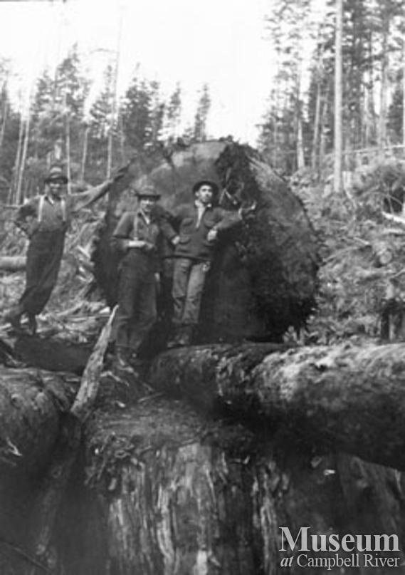 Loggers with a big one at Port Neville