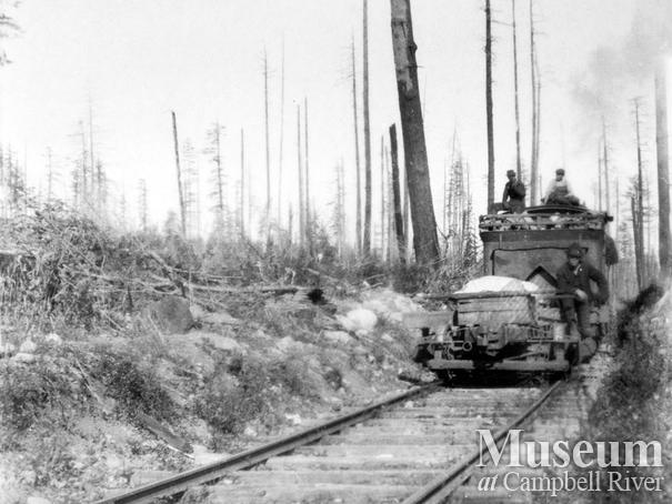 Abbott Timber Co. logging operations