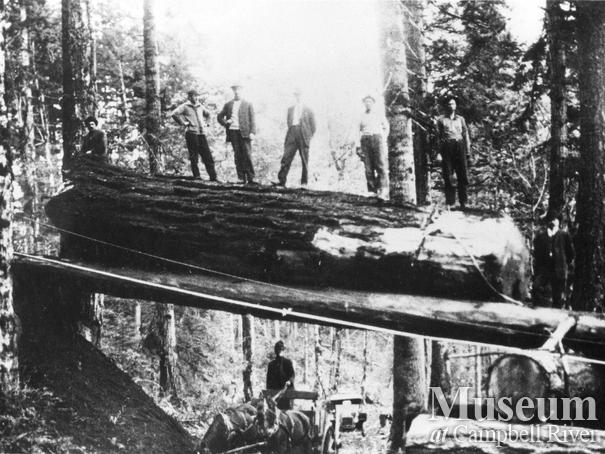Log chute over the Island Highway near Campbell River