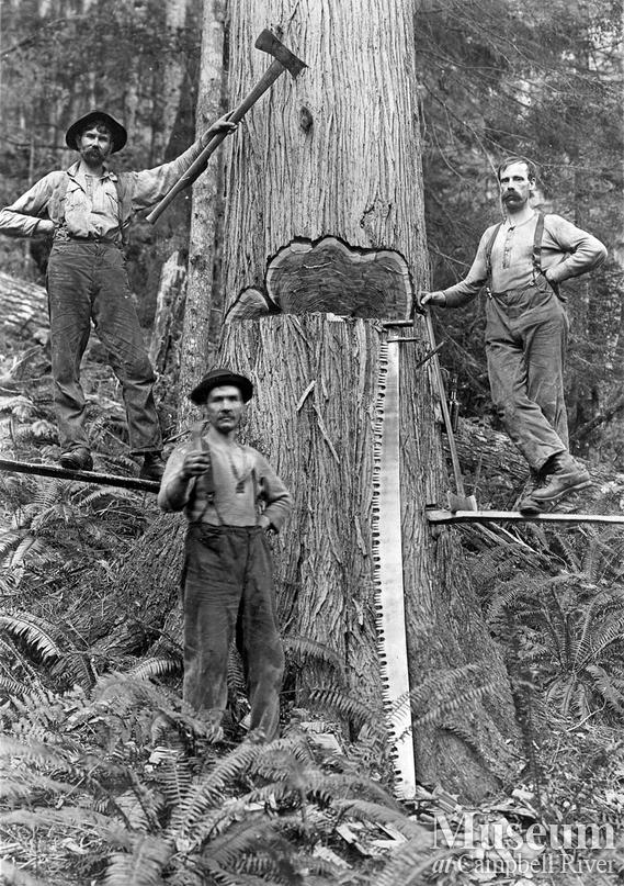 Bendickson Logging in Jervis Inlet