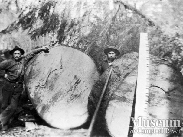 Bendickson Logging operations on Hardwicke Island