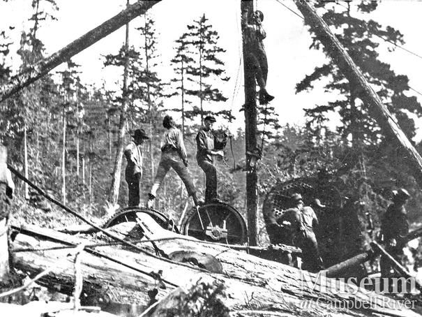 Bendickson Logging operations