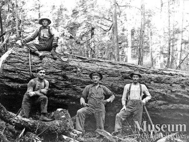 Bendickson Logging crew at Quadra Island operations