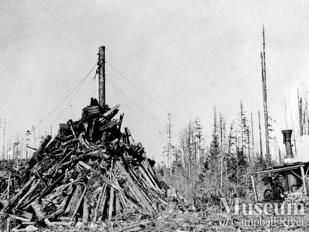 Bendickson Logging operations