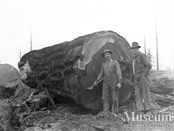 Joe Zanatta of Quinsam Trucking with large log