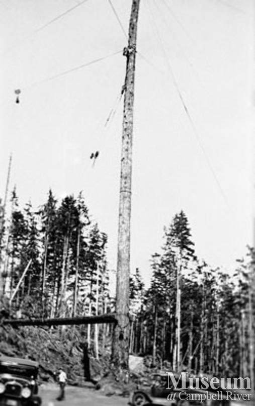 Spar tree at logging operations at Iron River