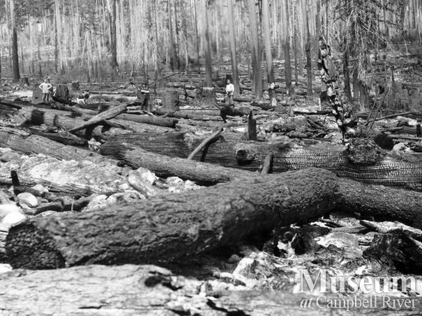 Aftermath of 1925 Quadra Island forest fire