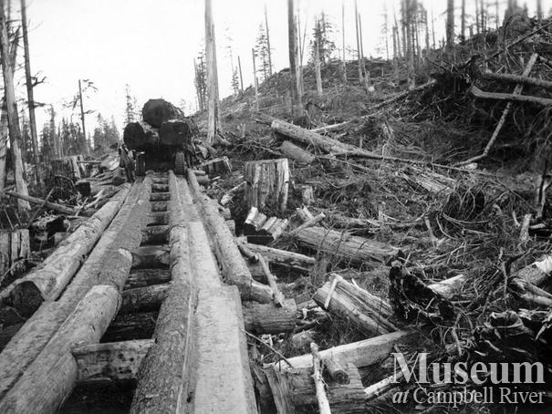 Byles and Groves logging