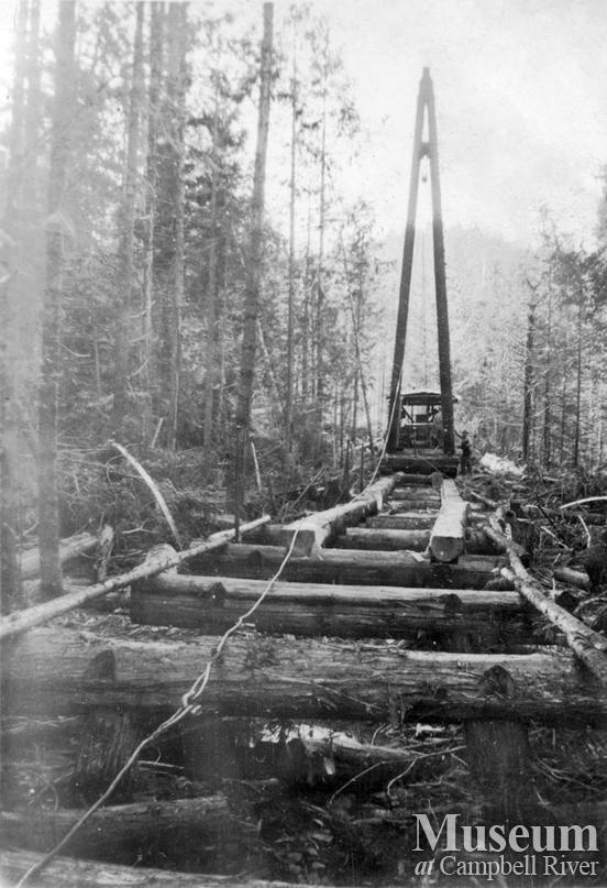 Building timber road for truck logging operation