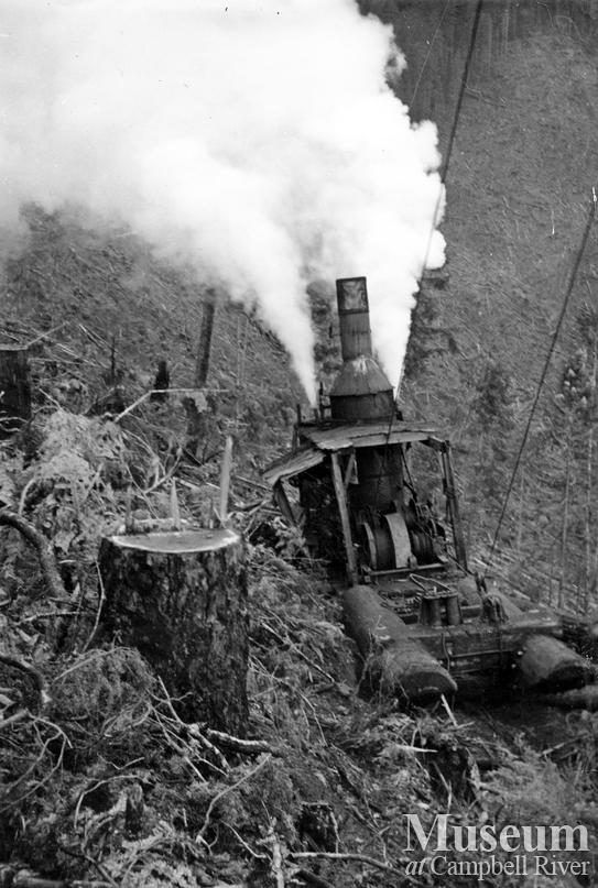 Steam donkey in operation