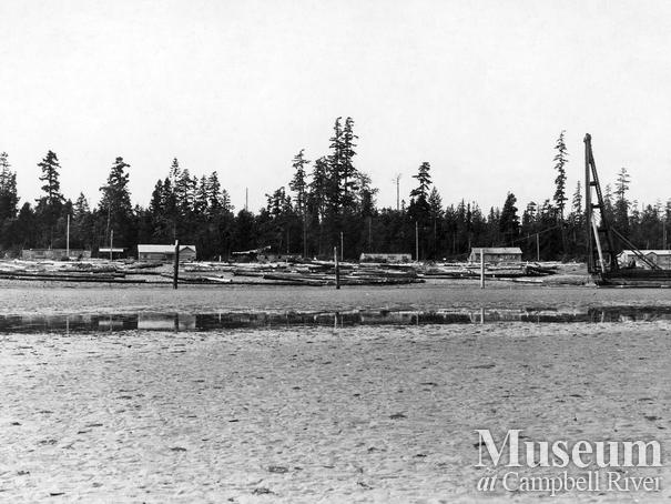 View of the Oyster Bay Logging Camp